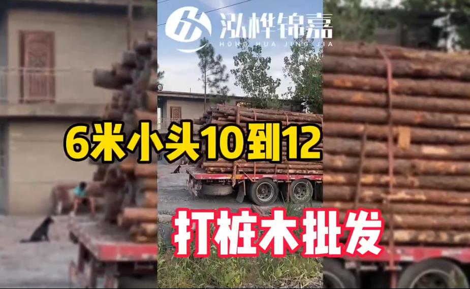 6米小頭10-12cm<a href=http://www.cdjhfdc.com/ target=_blank class=infotextkey>打樁木</a>批發(fā)