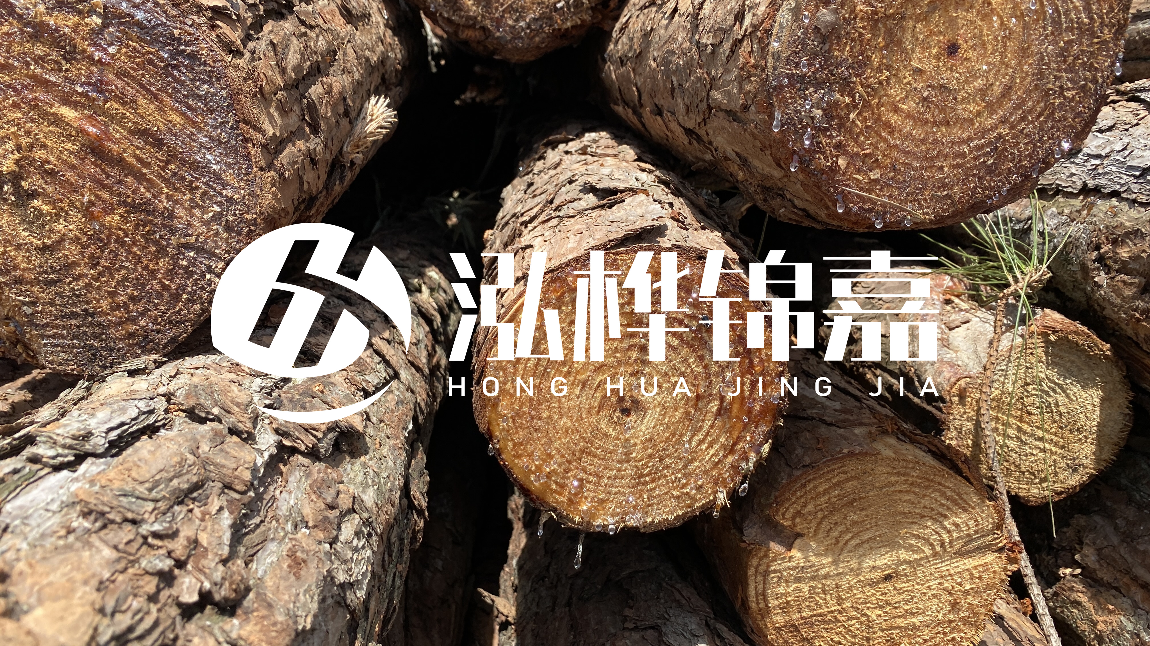為什么要用松木樁治理河道？
