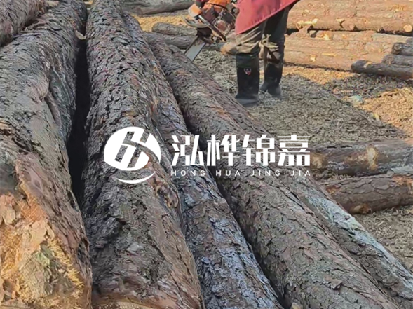 河南松木樁生產(chǎn)企業(yè)聯(lián)系方式？老客戶采購(gòu)松木樁能打折嗎？