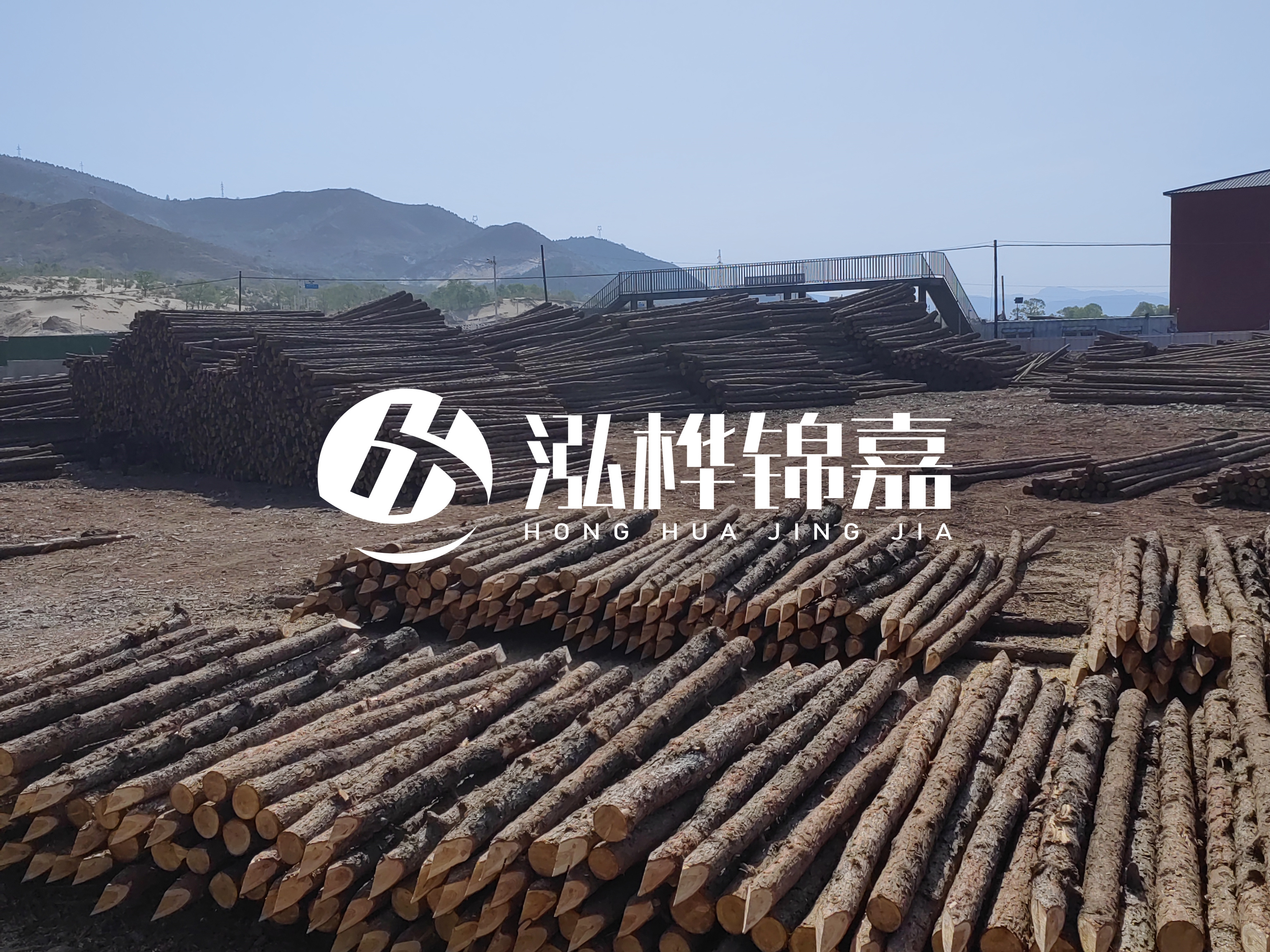 江蘇打樁木源頭廠家泓樺錦嘉-4米打樁木大頭14-16小頭一般多少？