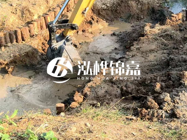 廣東松木樁批發(fā)廠家 - 3 米小頭 8CM 松木樁多少錢(qián)？