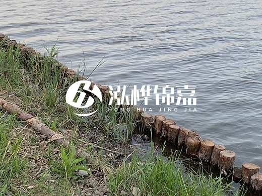 防洪松木樁施工重要性？河道打木樁的位置怎么確定？