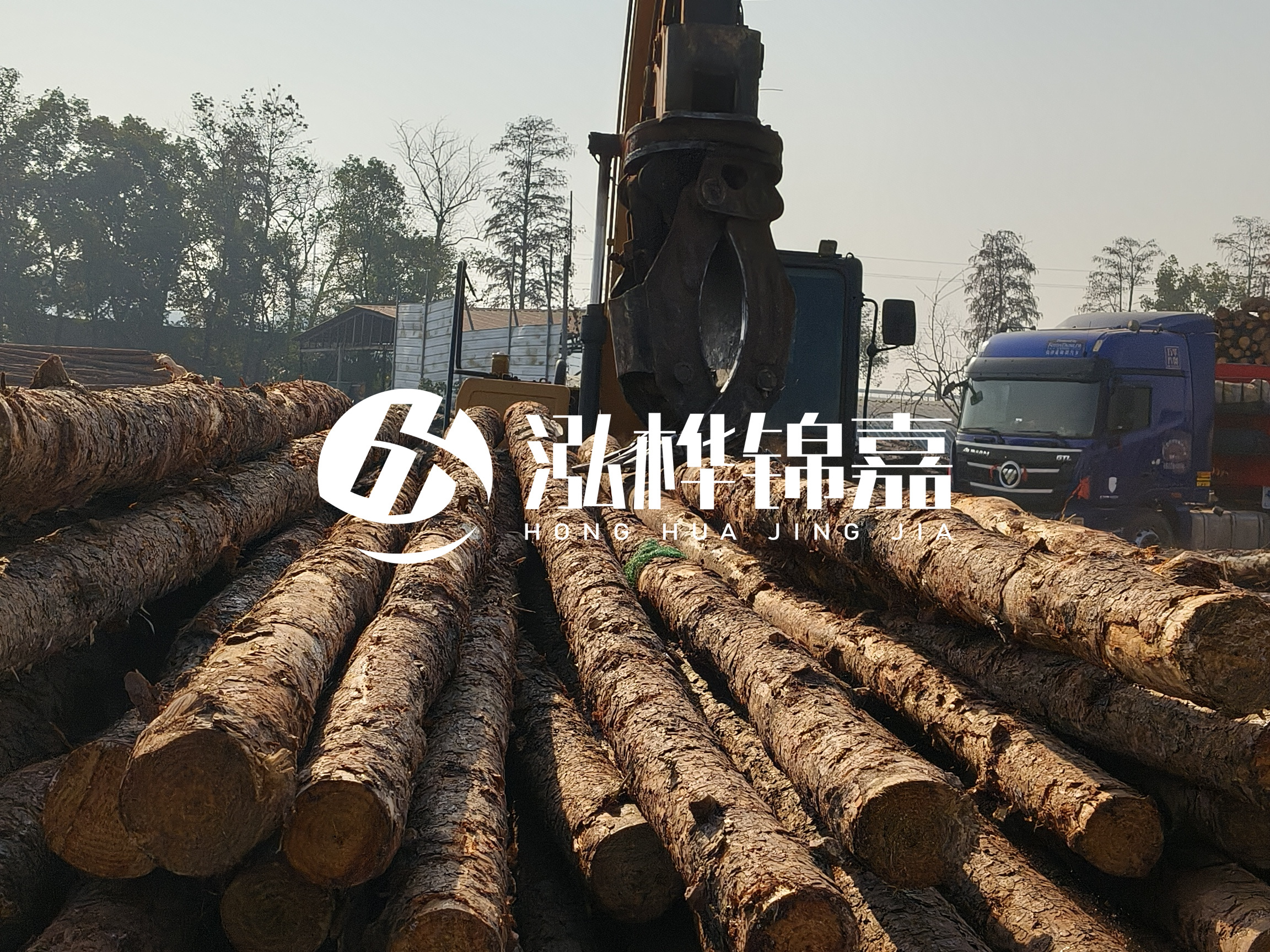松木樁可以用來做什么？常用于哪些工程？