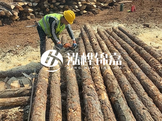 松木樁批發(fā)廠家泓樺錦嘉-河道打樁木施工中怎么防止樁頭被打壞？