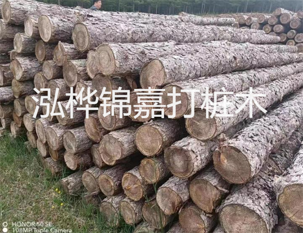 高效修補，保駕護航！水泥路面高強度修補料為您解決煩惱！