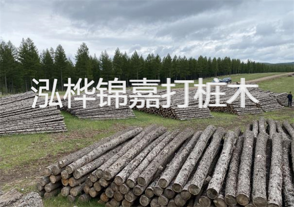 鋼結構施工方案大全免費提供，助力工程建設