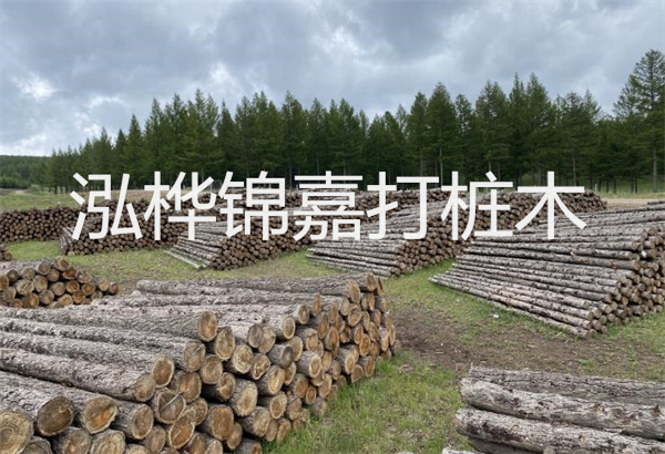預制松木樁施工工藝：優(yōu)質(zhì)材料，高效快速，堅固耐用